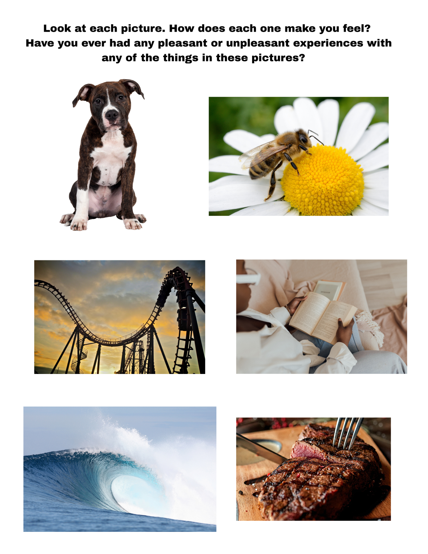 Emotion, Perception, and Perspective Lessons