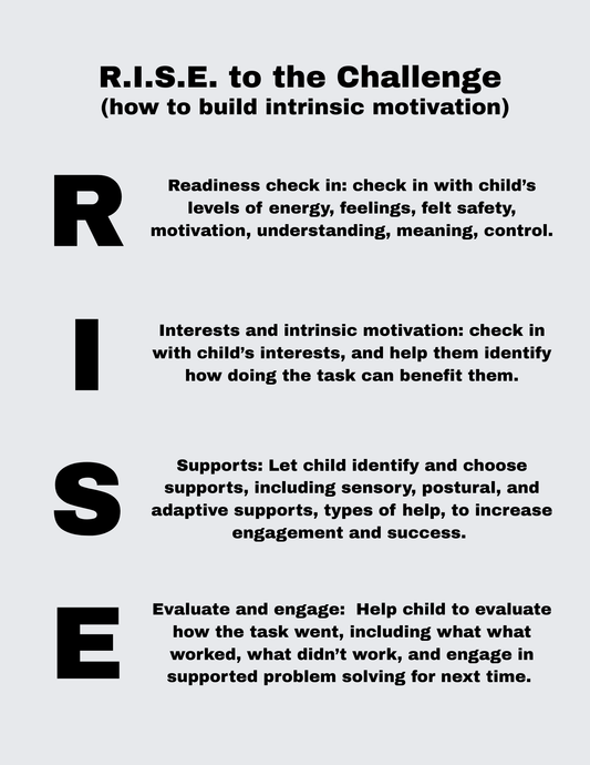 R.I.S.E. intrinsic motivation tools