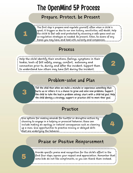 5P Process infographic