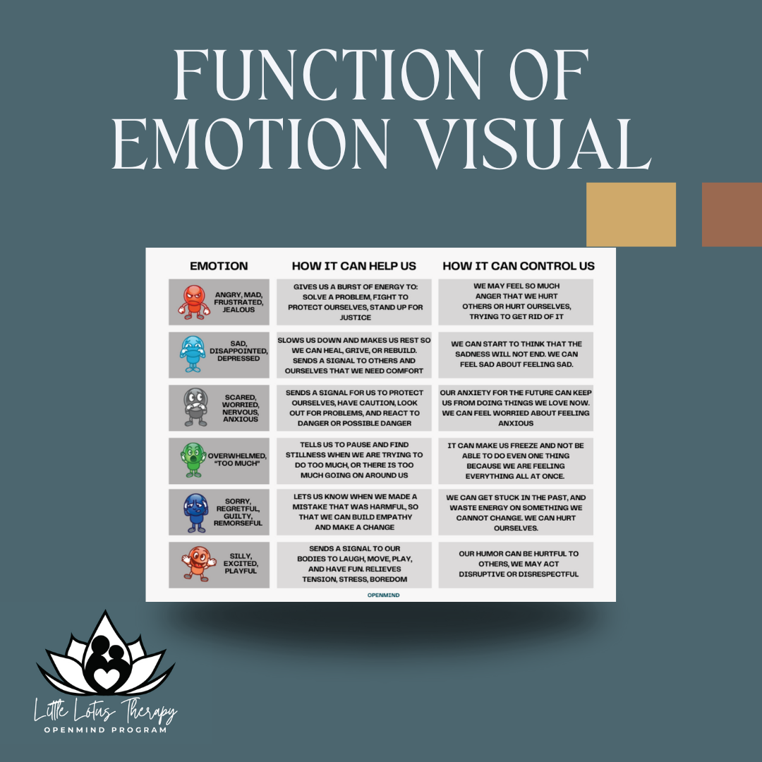 Function of Emotion Visual – Little Lotus Therapy