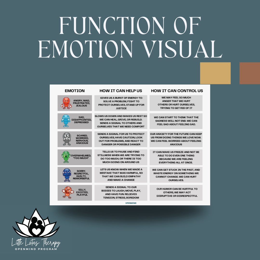 Function of Emotion Visual