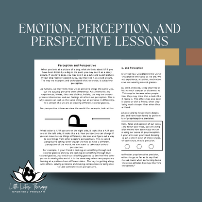 Emotion, Perception, and Perspective Lessons