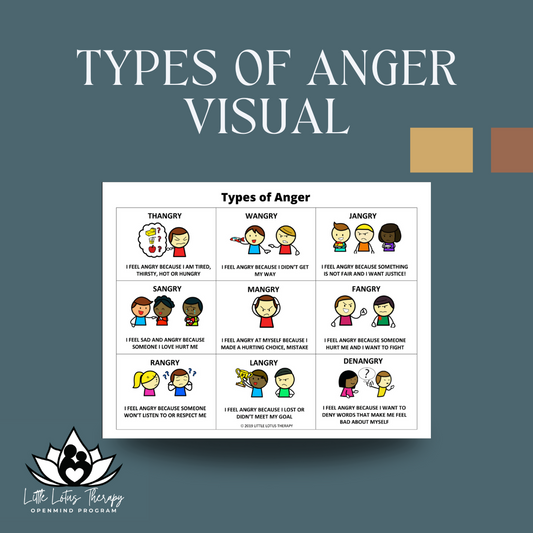 Types of Anger Visual