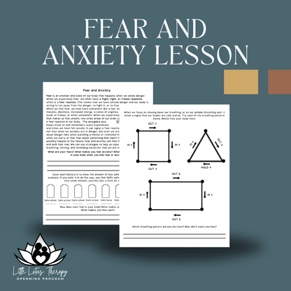 Fear and Anxiety Lesson