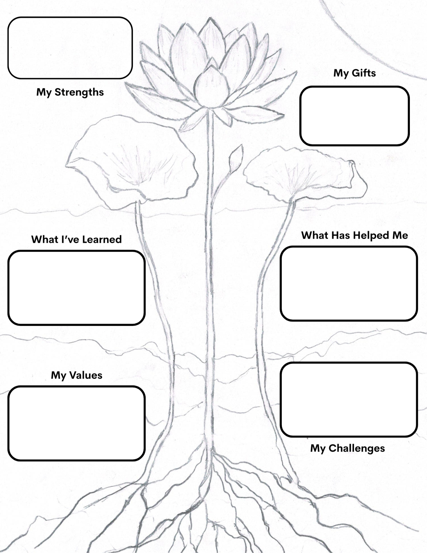 Lotus Lesson